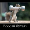 tn_gallery_7416_2_23475.jpg