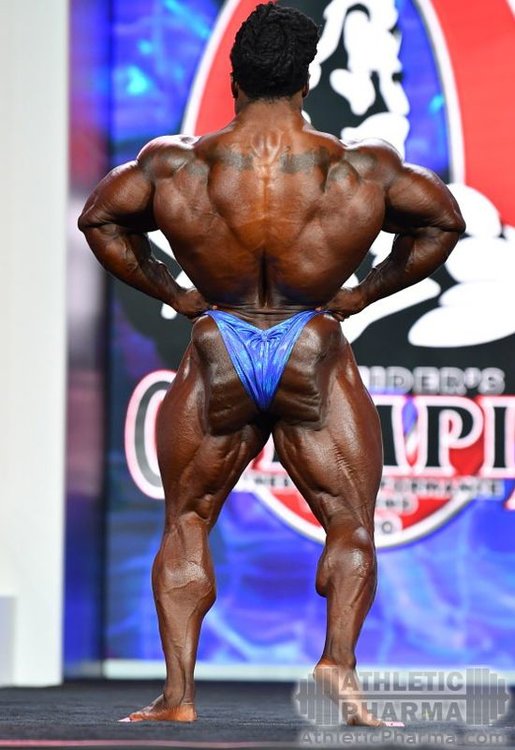 william_bonak_3.jpg